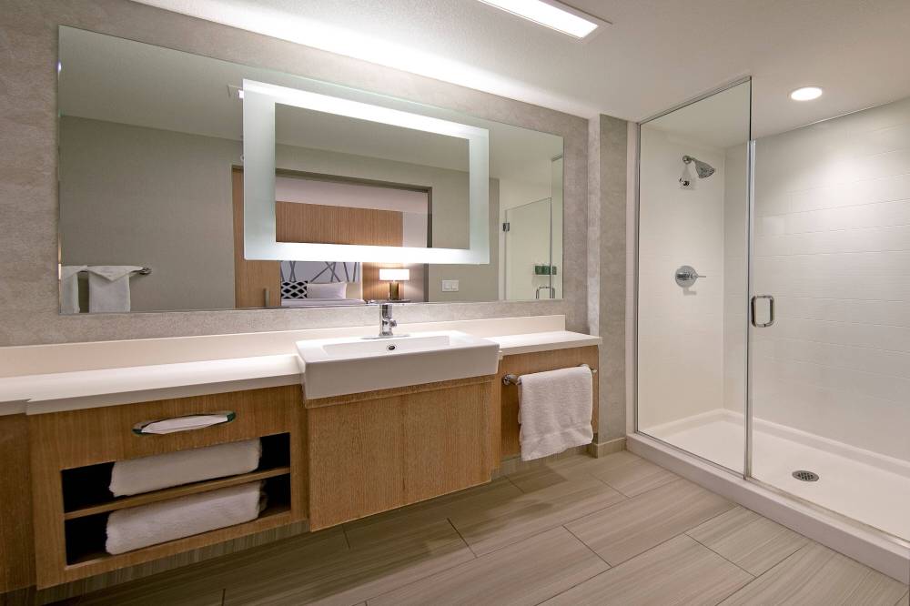 Suite Bathroom - Walk-In Shower