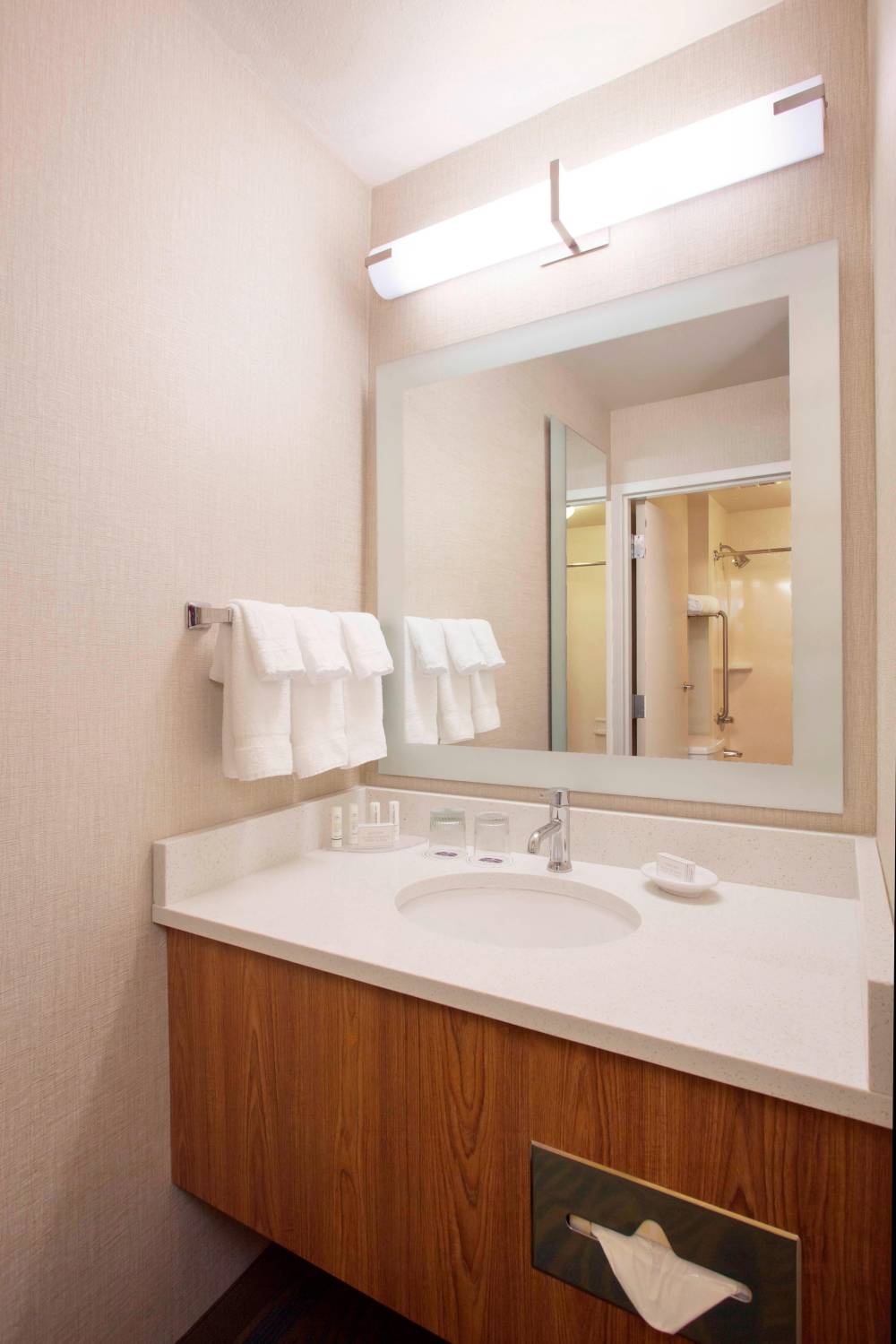 Suite Bathroom