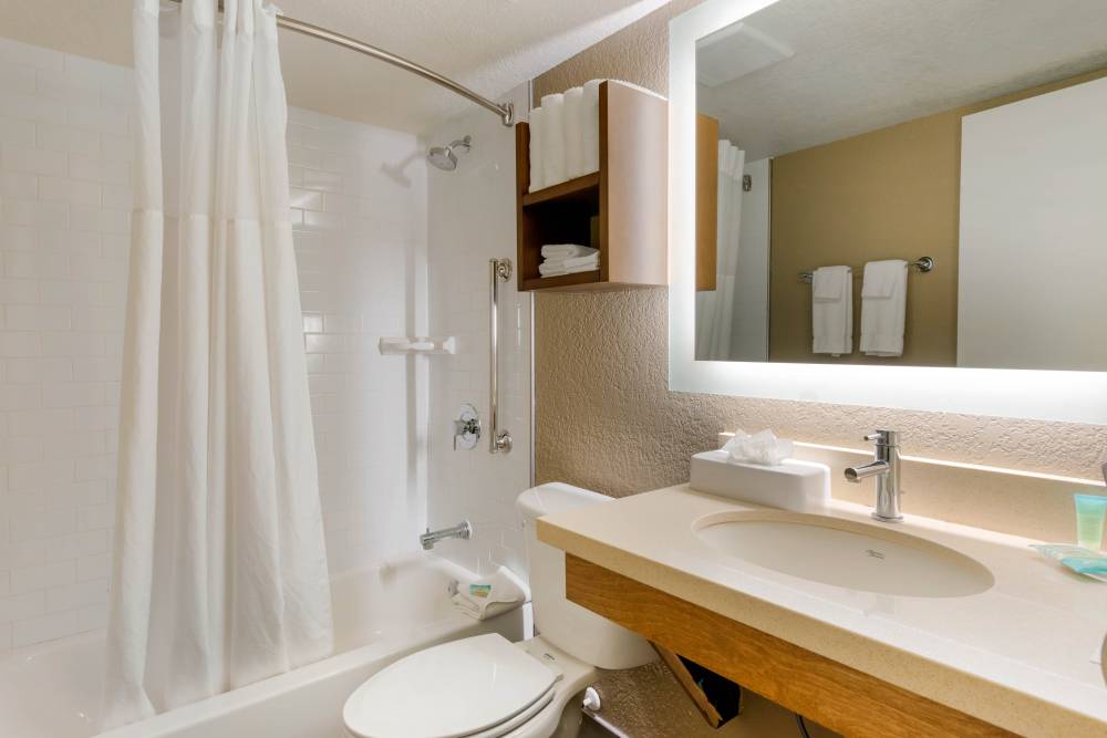 Relax in our spacious Guest Bathroom with ADA/Hand