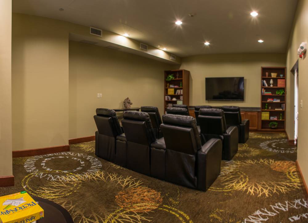 Theater Room