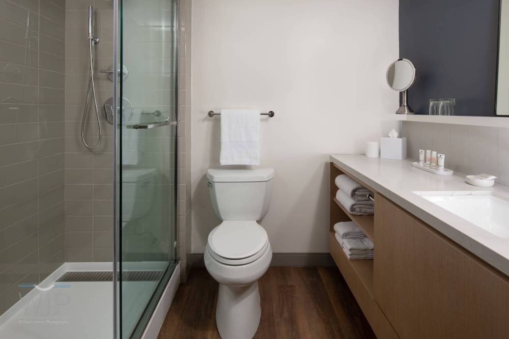 Guest Bathroom - Walk-In Shower