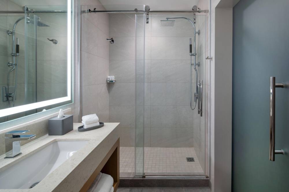 Guest Bathroom - Walk-In Shower