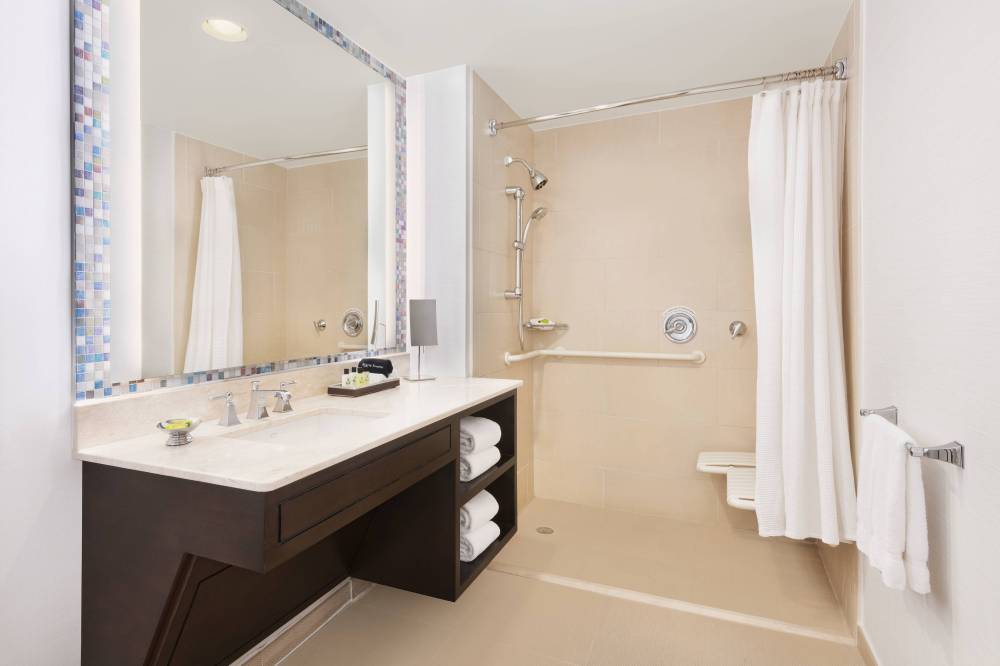 Accessible Guest Bathroom - Shower