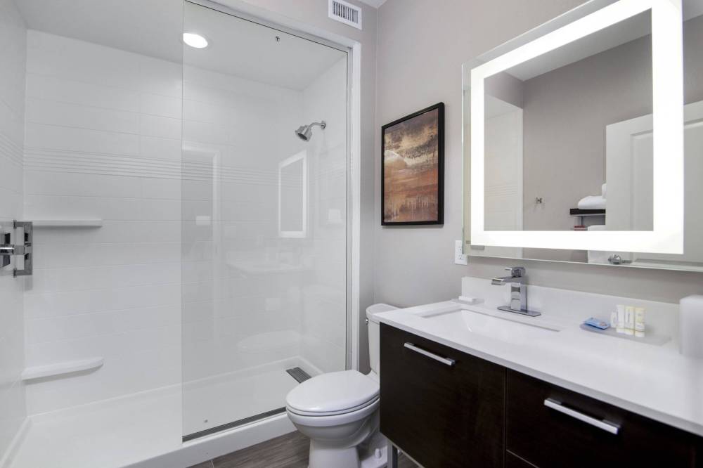 Suite Bathroom - Walk-in Shower