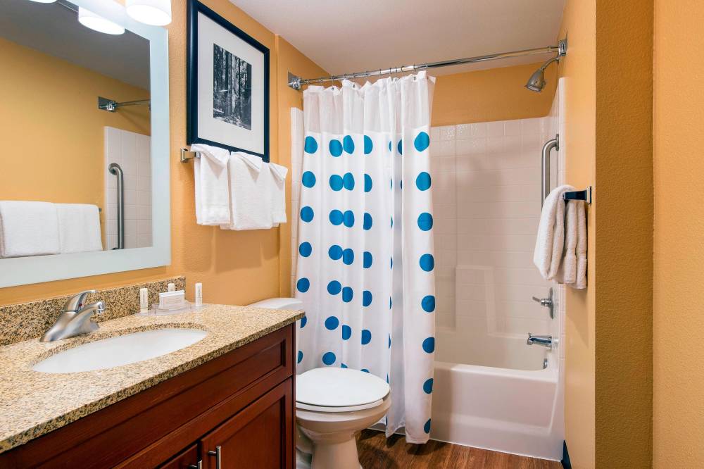 One-Bedroom Suite Guest Bathroom