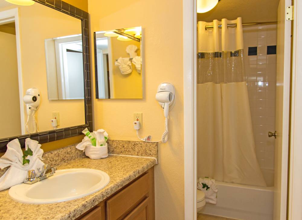 One-Bedroom Villa Private Master Bathroom